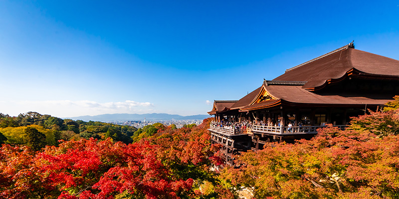 京都の清水寺_南法律事務所の休暇告知イメージ